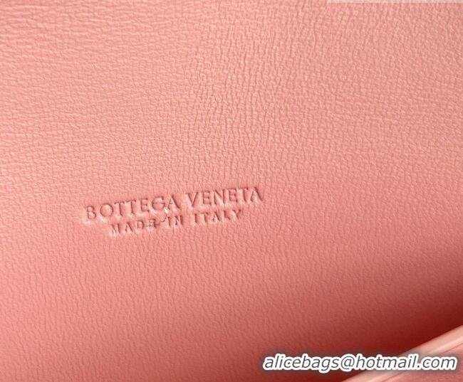 Shop Discount Bottega Veneta Long Clutch Bag Andiamo in Suede and Crystals 844124 Rose Pink 2026