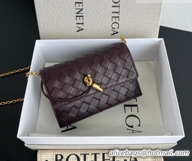 Famous Brand Bottega Veneta Andiamo Pouch on Chain Mini Bag in Intrecciato Leather 844107 Dark Barolo Red 2026