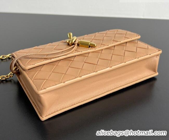 Low Price Bottega Veneta Andiamo Pouch on Chain Mini Bag in Intrecciato Leather 844107 Pale Brown 2026