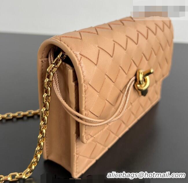 Low Price Bottega Veneta Andiamo Pouch on Chain Mini Bag in Intrecciato Leather 844107 Pale Brown 2026