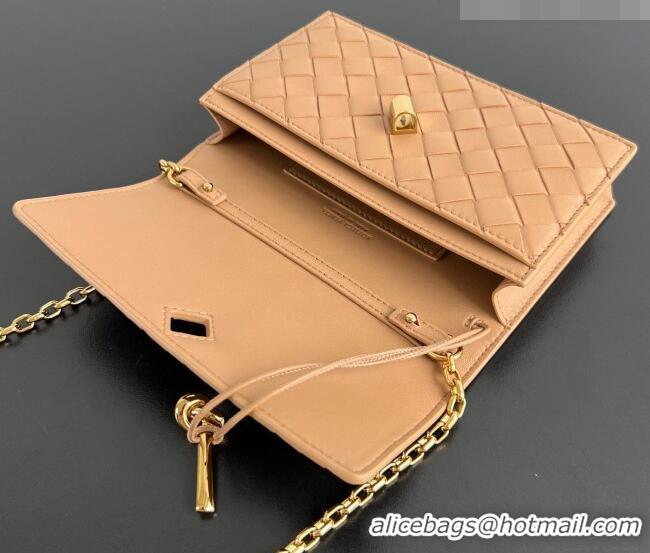 Low Price Bottega Veneta Andiamo Pouch on Chain Mini Bag in Intrecciato Leather 844107 Pale Brown 2026