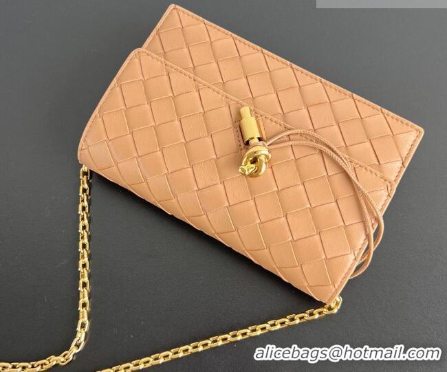 Low Price Bottega Veneta Andiamo Pouch on Chain Mini Bag in Intrecciato Leather 844107 Pale Brown 2026