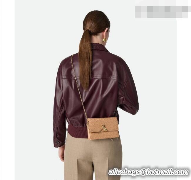Low Price Bottega Veneta Andiamo Pouch on Chain Mini Bag in Intrecciato Leather 844107 Pale Brown 2026