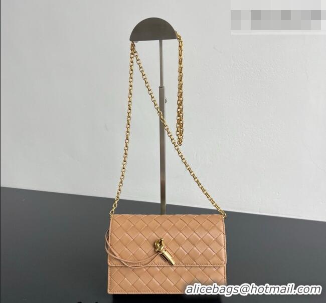 Low Price Bottega Veneta Andiamo Pouch on Chain Mini Bag in Intrecciato Leather 844107 Pale Brown 2026