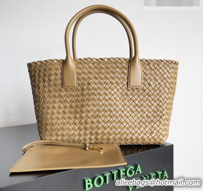New Design Bottega Veneta Medium Cabat Tote Bag 32cm in Intrecciato Leather BV040205 Pale Brown 2026