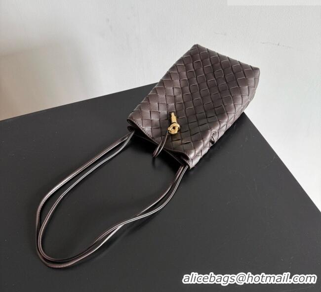 Super Quality Bottega Veneta Andiamo Phone Pouch in Intrecciato Leather 843890 Fondant Brown 2026