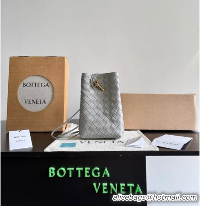 Buy Fashionable Bottega Veneta Andiamo Phone Pouch in Intrecciato Leather 843890 Grey 2026