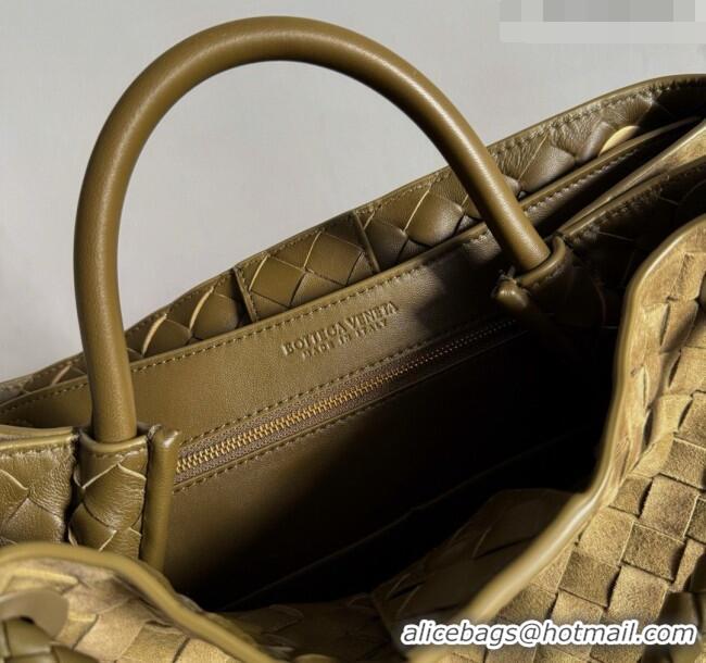 Free Shipping Bottega Veneta Medium Andiamo Bag in Intrecciato Suede BV082666 Green 2026