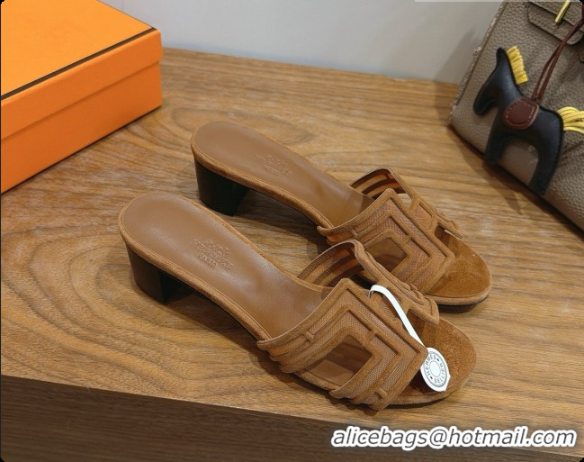 Best Grade Hermes Oasis Sandals in Suede & Mesh 4.5cm Heel H091560 Brown 2026