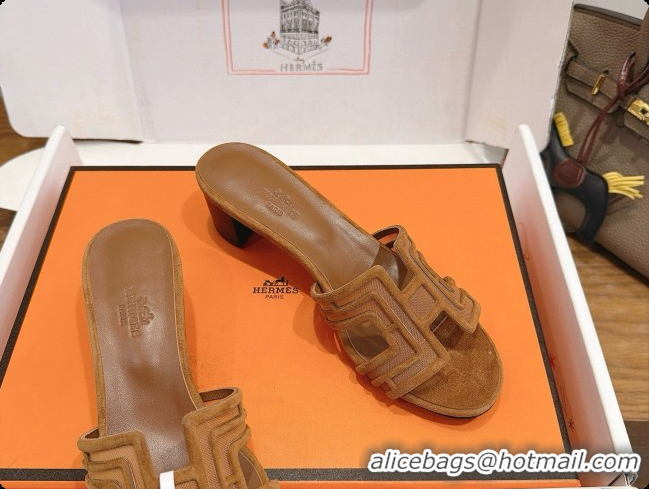 Best Grade Hermes Oasis Sandals in Suede & Mesh 4.5cm Heel H091560 Brown 2026