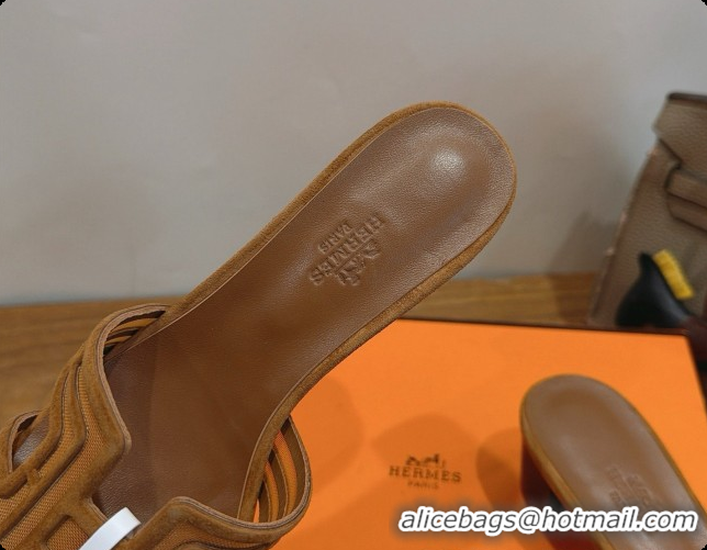 Best Grade Hermes Oasis Sandals in Suede & Mesh 4.5cm Heel H091560 Brown 2026
