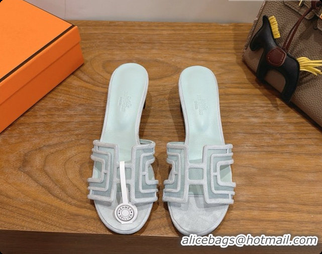 Cheap Price Hermes Oasis Sandals in Suede & Mesh 4.5cm Heel H091565 Light Grey 2026