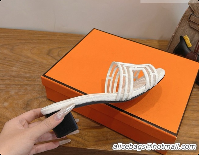 Good Product Hermes Oasis Sandals in Suede & Mesh 4.5cm Heel H091566 White 2026