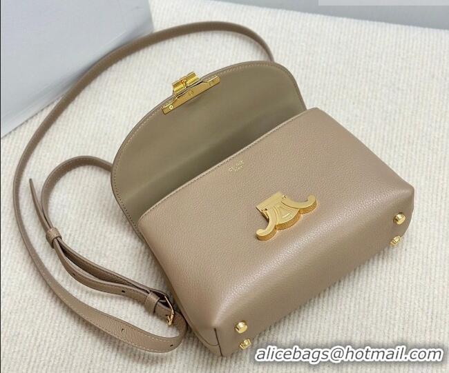 Inexpensive Celine Teen Nino Bag in Grained Supple Calfskin 118113 Smoked Brown 2026