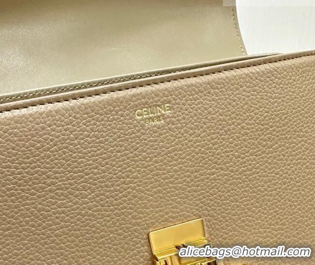 Inexpensive Celine Teen Nino Bag in Grained Supple Calfskin 118113 Smoked Brown 2026