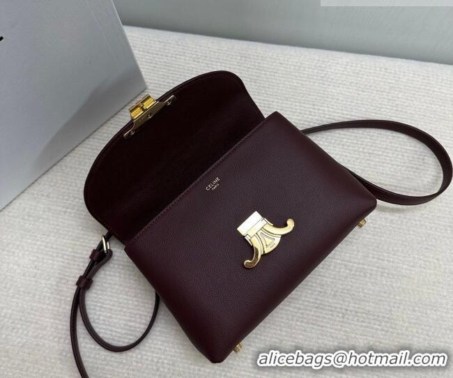 Good Taste Celine Teen Nino Bag in Grained Supple Calfskin 118113 Burgundy 2026