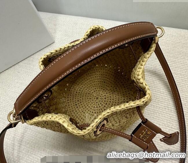 Promotional Celine Teen Clara Bucket Bag in Raffia Straw and Calfskin 122622 2026