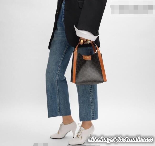Top Grade Celine Small Cube Tote bag in Triomphe Canvas and Calfskin 124182 Brown 2026