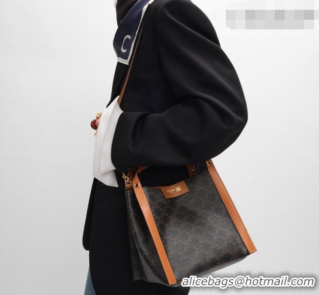 Top Grade Celine Small Cube Tote bag in Triomphe Canvas and Calfskin 124182 Brown 2026