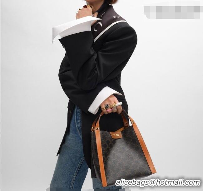 Top Grade Celine Small Cube Tote bag in Triomphe Canvas and Calfskin 124182 Brown 2026
