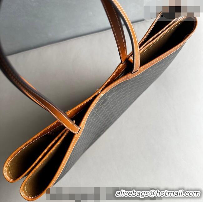 Top Grade Celine Big Flat Shopper Bag in Triomphe Canvas and Calfskin 123842 2026