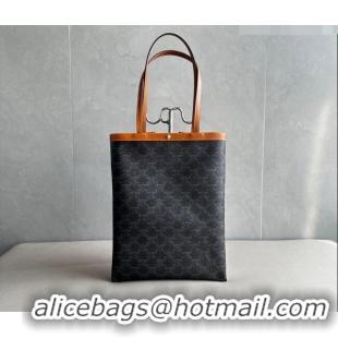 Well Crafted Celine Medium Flat Shopper Bag in Triomphe Canvas and Calfskin 123832 2026