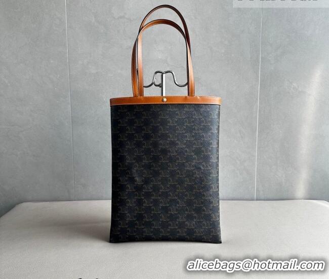 Well Crafted Celine Medium Flat Shopper Bag in Triomphe Canvas and Calfskin 123832 2026