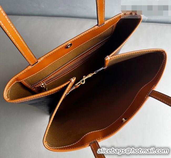 Well Crafted Celine Medium Flat Shopper Bag in Triomphe Canvas and Calfskin 123832 2026