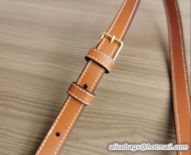 Well Crafted Celine Folco Mini Bag in Triomphe Canvas 191502 Brown 2026