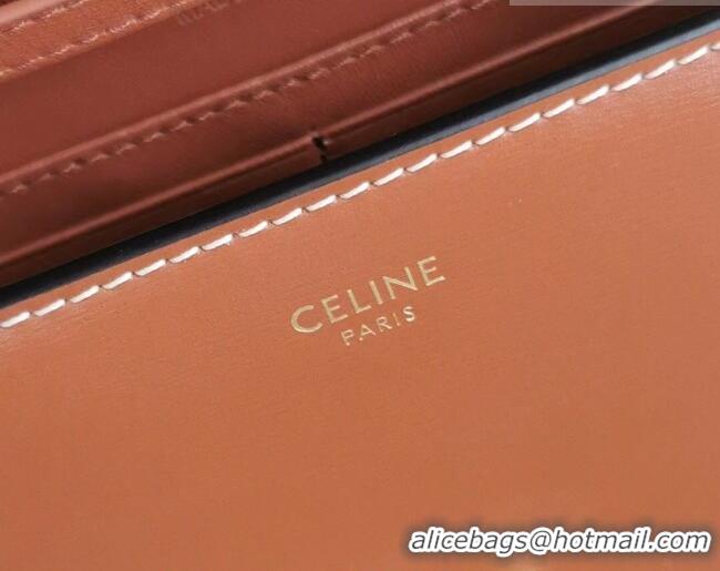 Buy Cheap Celine Triomphe Leather Chain Mini Bag 10J733 Brown 2026