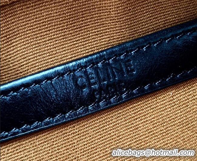 Most Popular Celine Mens Medium Messenger Bag in Triomphe Canvas 197202 2026