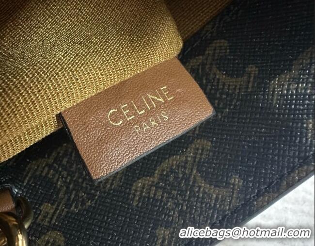 Top Quality Celine Cabas Triomphe Canvas Mini Tote 10N042 Brown 2026