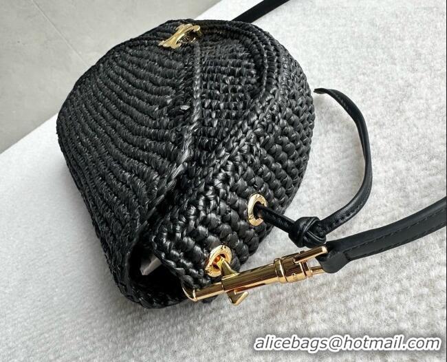 Low Cost Celine Little Halfmoon Soft Triomphe Bag in Raffia L10373 Black 2026