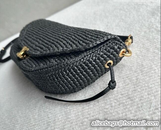 Low Cost Celine Little Halfmoon Soft Triomphe Bag in Raffia L10373 Black 2026