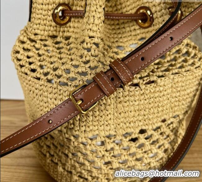 Inexpensive Celine Clara Bucket Bag in Raffia and Calfskin 116882 C090454 Beige 2026