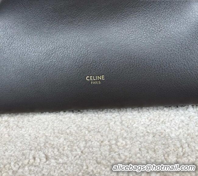 Best Product Celine Small Doctor's Pouch in Supply Calfskin 90501 Black 2026