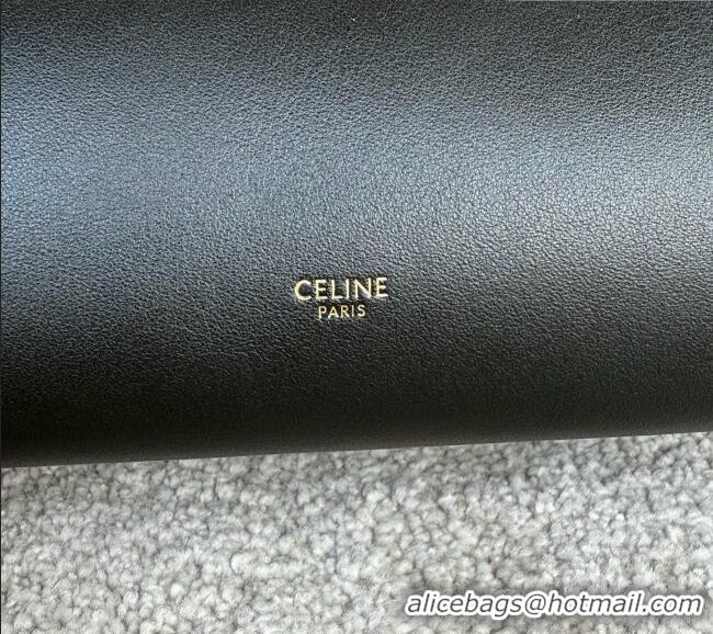 Best Quality Celine Doctor's Pouch in Supply Calfskin 90502 Black 2026
