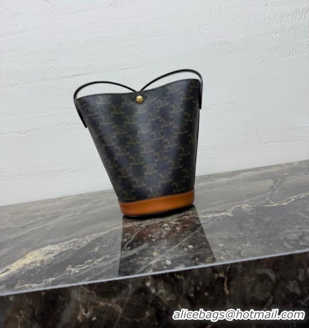 High Quality Celine Little Bucket in Triomphe Canvas L109U4 2026