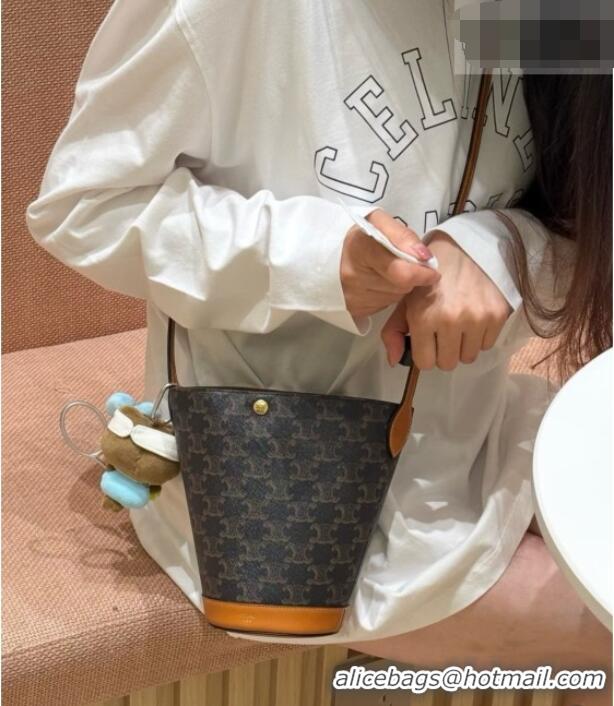 High Quality Celine Little Bucket in Triomphe Canvas L109U4 2026