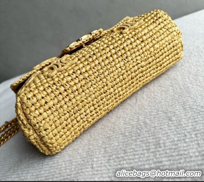 Buy Fashionable Celine Teen Victoire Bag in Raffia 115853 Beige 2026