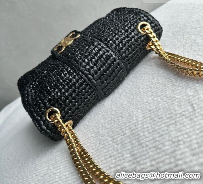 Best Price Discount Celine Teen Victoire Bag in Raffia 116593 Black 2026
