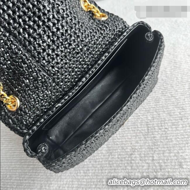 Best Price Discount Celine Teen Victoire Bag in Raffia 116593 Black 2026