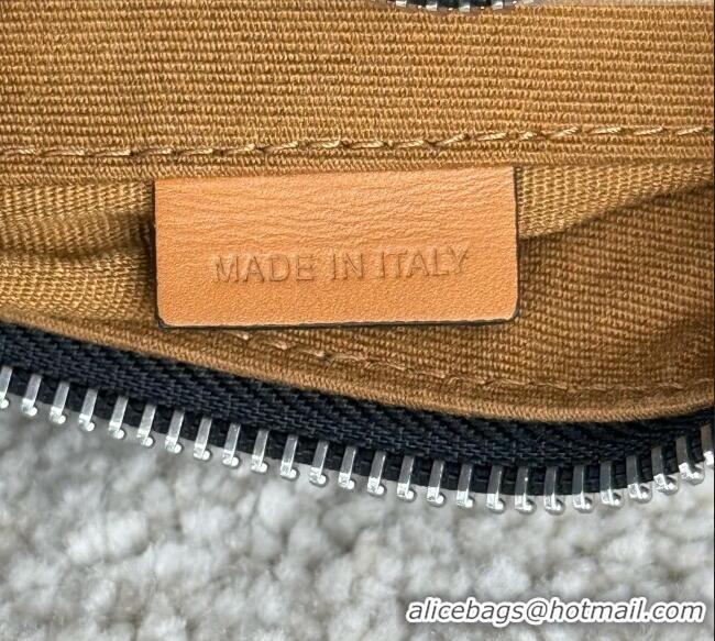 Best Price Celine Take Away Crossbody Bag in Triomphe Canvas and Natual Calfskin L10033 Brown 2026