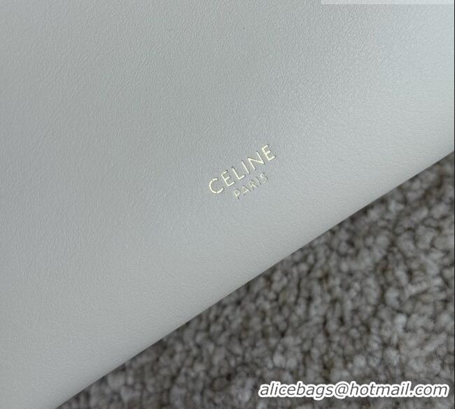 Best Price Celine Mini Hobo Bag in Smooth Calfskin L10133 White 2026