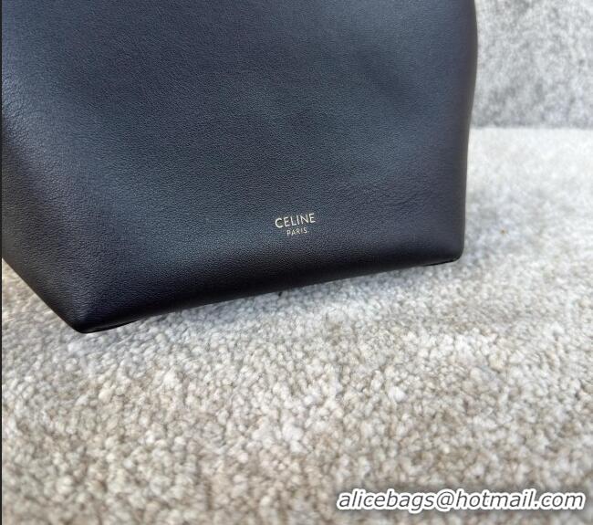 Grade Quality Celine Mini Hobo Bag in Smooth Calfskin L10133 Black 2026