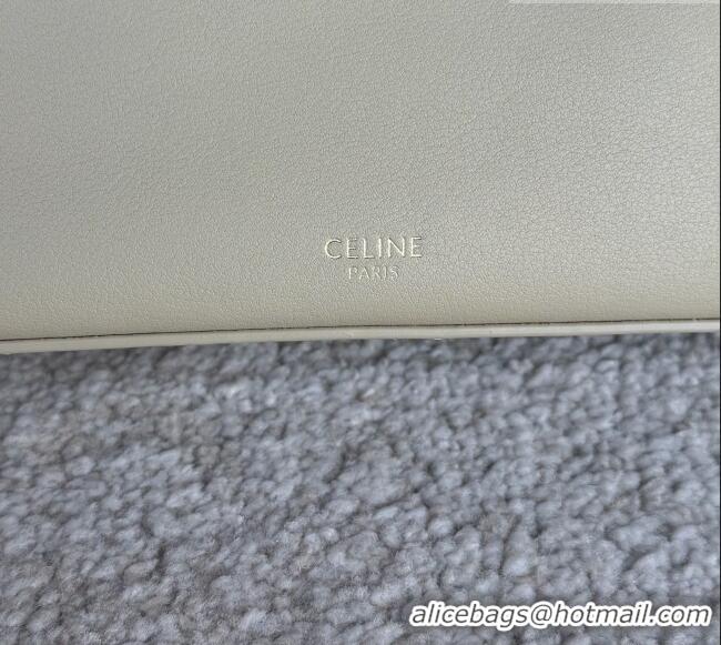 Shop Inexpensive Celine VANITY Frame in Supple Calfskin 123702 Beige 2026
