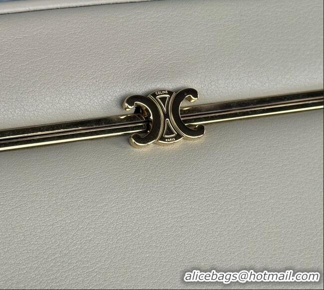Shop Inexpensive Celine VANITY Frame in Supple Calfskin 123702 Beige 2026
