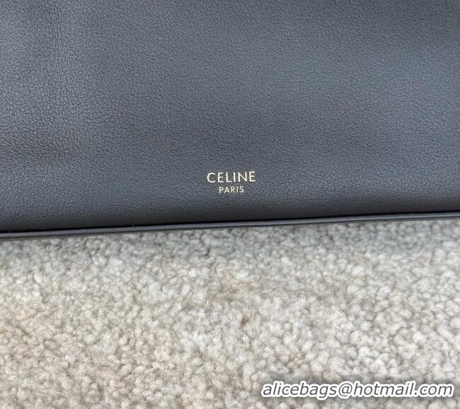 Luxury Cheap Celine VANITY Frame in Supple Calfskin 123702 Black 2026