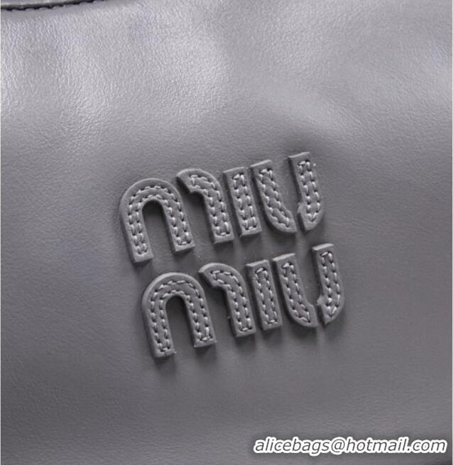 New Design Miu Miu Wander Calf Leather Hobo Mini bag 5BC125 Grey 2026