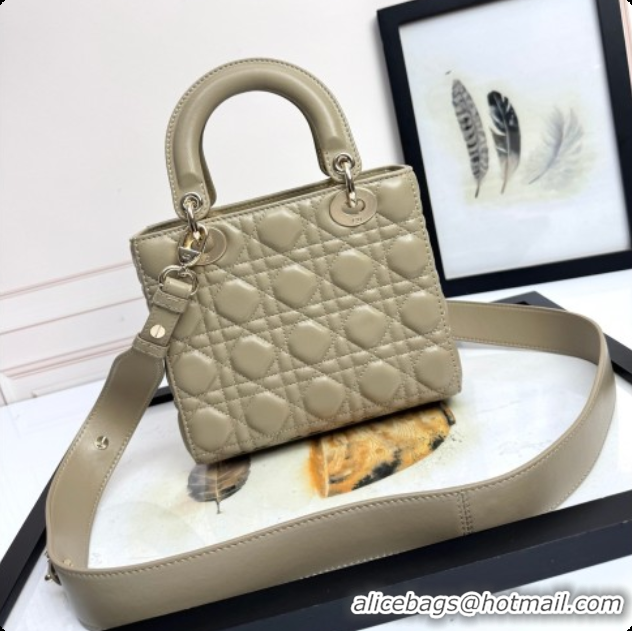 Shop Duplicate Dior Small Lady Dior My ABCDior Bag in Cannage Lambskin with Bow Apricot Grey 2026 D6604